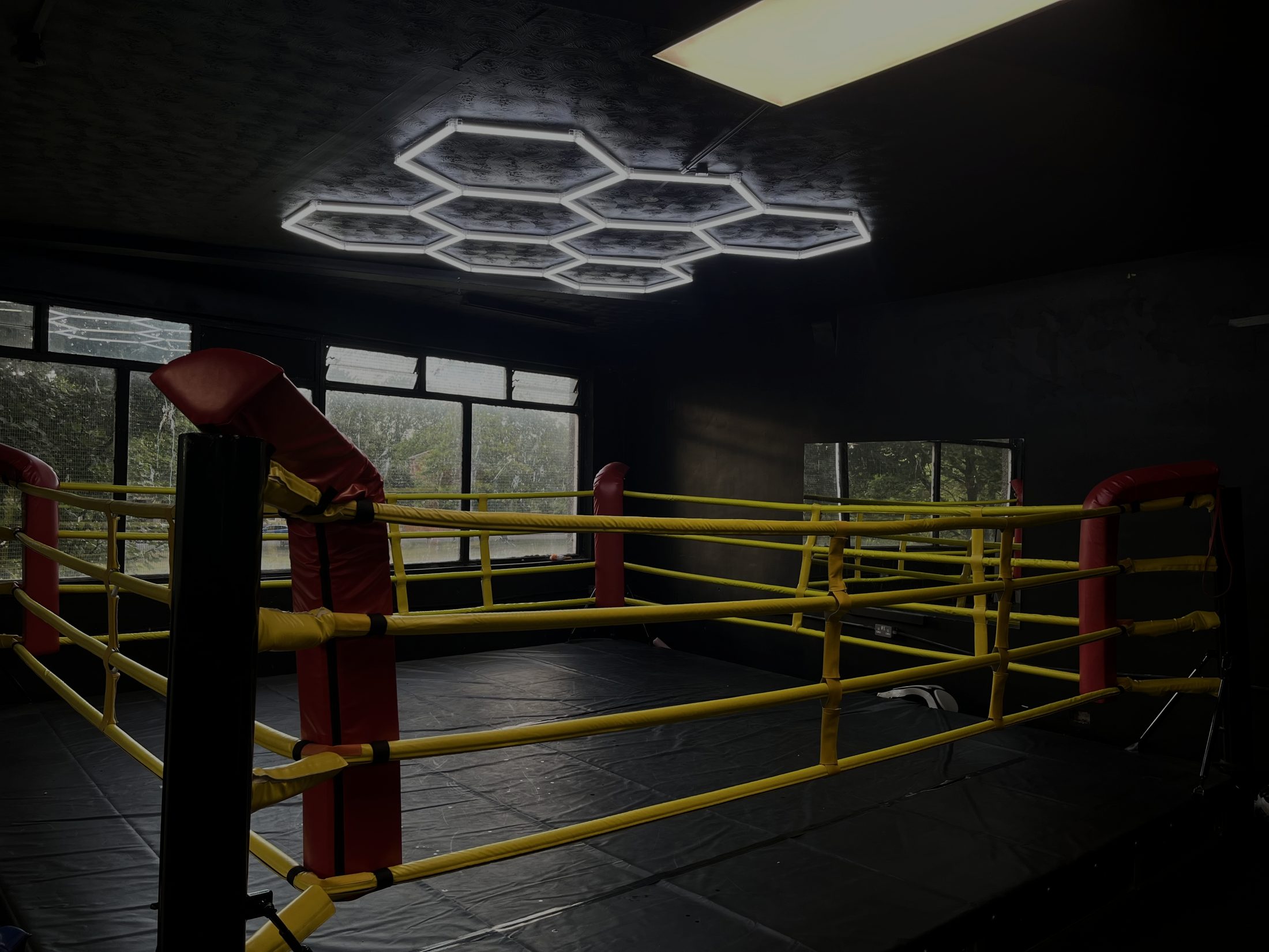 The ring at Boxwright Academy